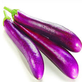 Brinjal Long