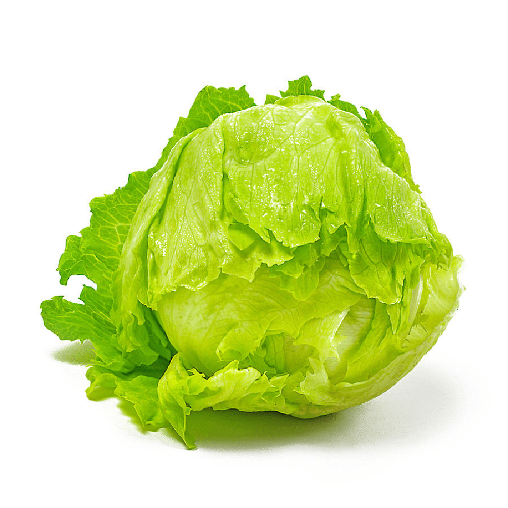 Iceberg Lettuce