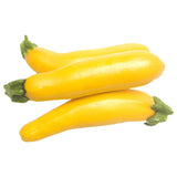 Zuchini Yellow