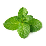 Mint/pudina