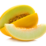 Honey Dew Melon