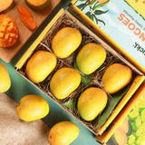 Ratnagiri Alphanso Mango 6pc/Box