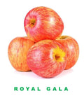 Apple Royal Gala