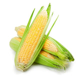 Bhutta (Sweet Corn)