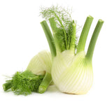 Fennel