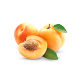 Apricot Afghanistan Pkt