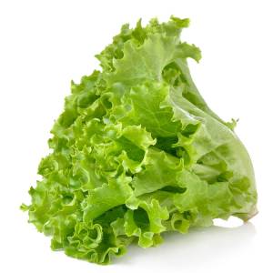 Salad Pata Green