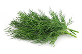 Soya (Dill)